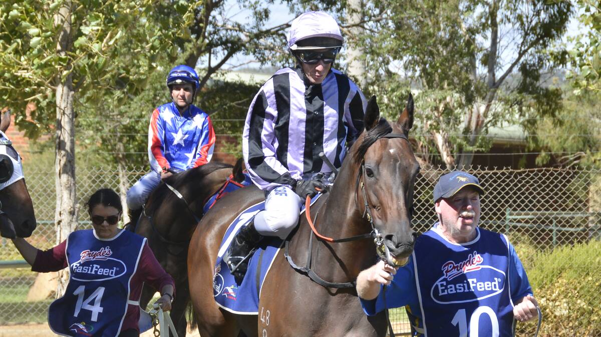 AND ANOTHER ONE: Greg Ryan scored two wins at Dubbo on Sunday to go past the 3,500 mark. Photo: BELINDA SOOLE