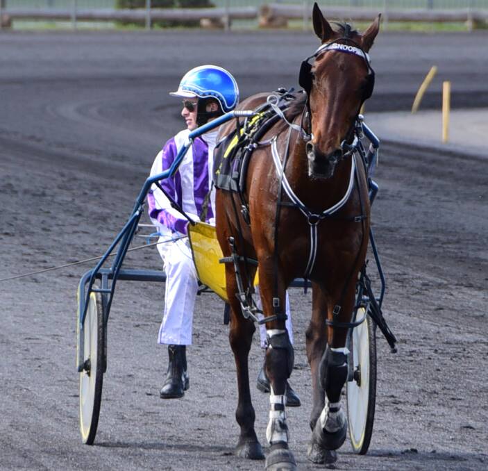 ONE NIGHT: All Elvis puns aside, up-and-coming Dubbo reinsman Tom Pay has a chance to record one of the biggest wins of his career when he lines up in the feature event at Parkes on Wednesday night. Photo: BELINDA SOOLE