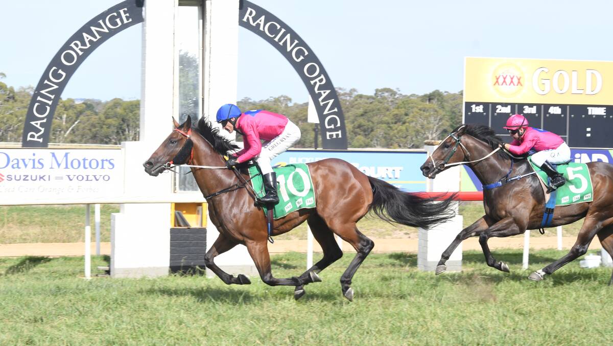 ONE TO WATCH: I Am Capitan beats home stablemate I Am Magnificent in the recent Banjo Paterson Cup at Orange. Photo: CARLA FREEDMAN