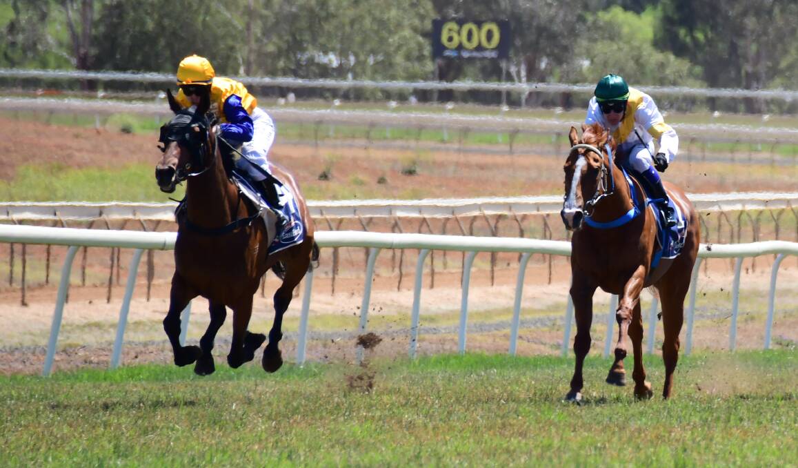 CITY SUCCESS: Eva's Deel (left), pictured during a win at Dubbo, scored a strong win at Rosehill on Saturday. Photo: BELINDA SOOLE