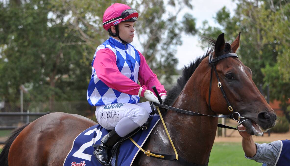 ON THE WAY: The Kody Nestor-trained Kenny Succeed, pictured with Chris Williams in the saddle earlier this year, is set to race at Dubbo again on Friday. Photo: FILE