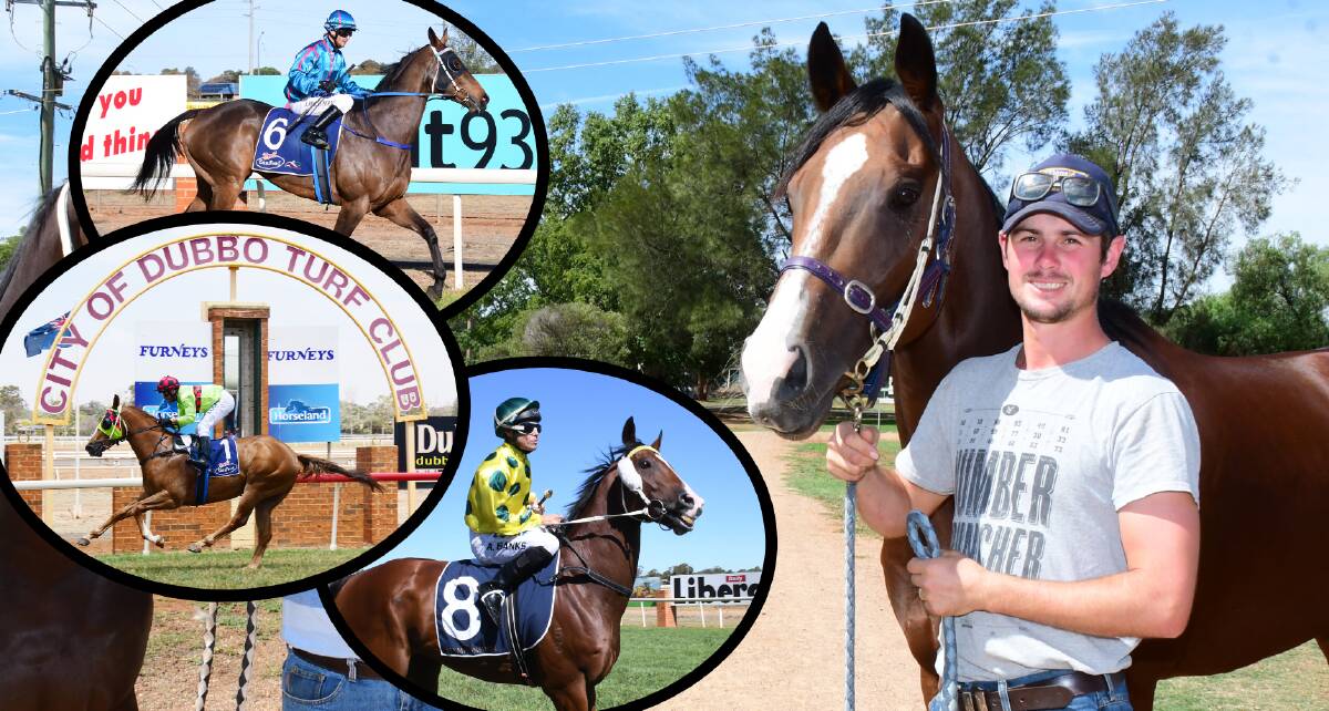 ON A ROLL: Clint Lundholm has seen a number of horses from his stable salute in the final event of meetings at his home track. MAIN PHOTO: BELINDA SOOLE