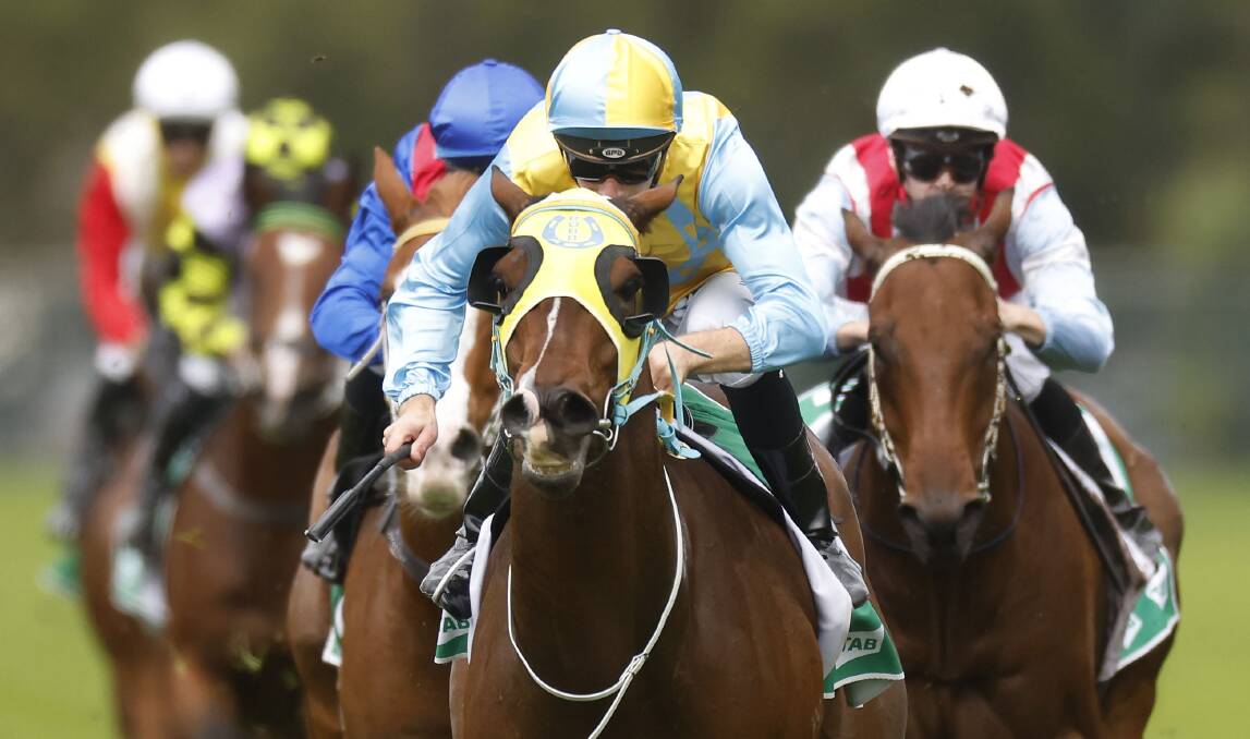 GOT IT: Sam Clipperton and the Brett Robb-trained Boom Boom Basil won Saturday's Rosehill Highway. Picture: Mark Evans/Getty Images