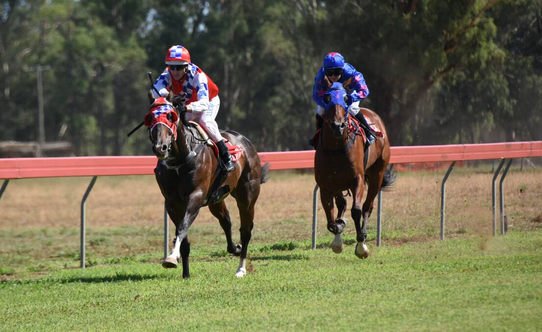 ANOTHER CHANCE: Sharon Jeffries' Hokkaido (leading) and the Rodney Robb-trained Mango Liston are regulars on the picnic circuit, the former having been nominated to race at Trangie. Photo: RENEE POWELL