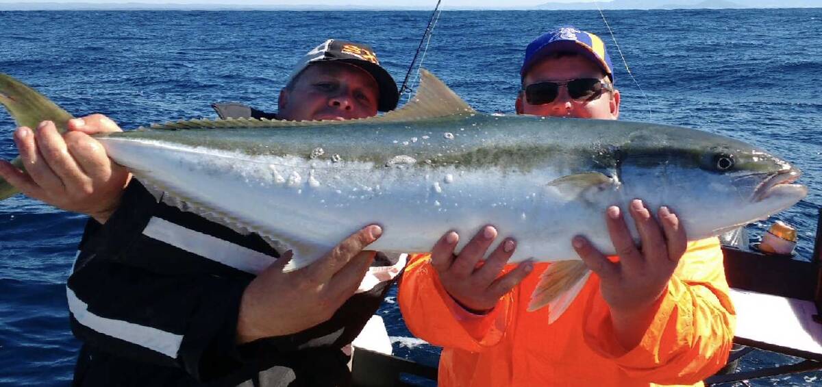 LOOSE: Escaped Kingfish, much like the one caught by Matt Hansen and Paul Mullen, have been causing boating mayhem. Photo: CONTRIBUTED