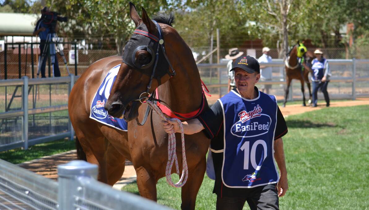 CHANCE: Dubbo trainer Garry Lunn will make the trip to Orange on Friday to contest the $65,000 Gold Cup feature. Photo: NICK GUTHRIE