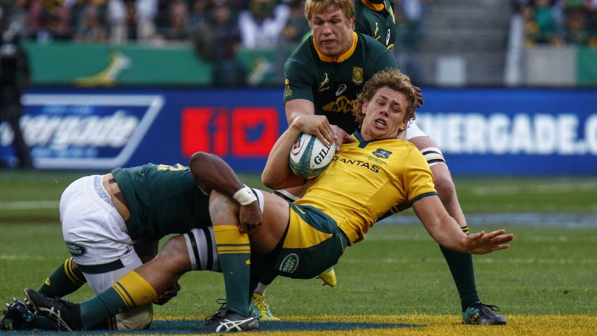 WRAPPED UP: Ned Hanigan is met by the South Africa defence during the Wallabies' last test. Photo: AP