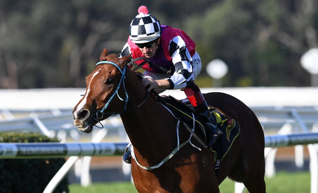 RETURN: There's been concern about Nictock but Cameron Crockett's talented gelding is a contender at Rosehill on Saturday. Photo: AAP