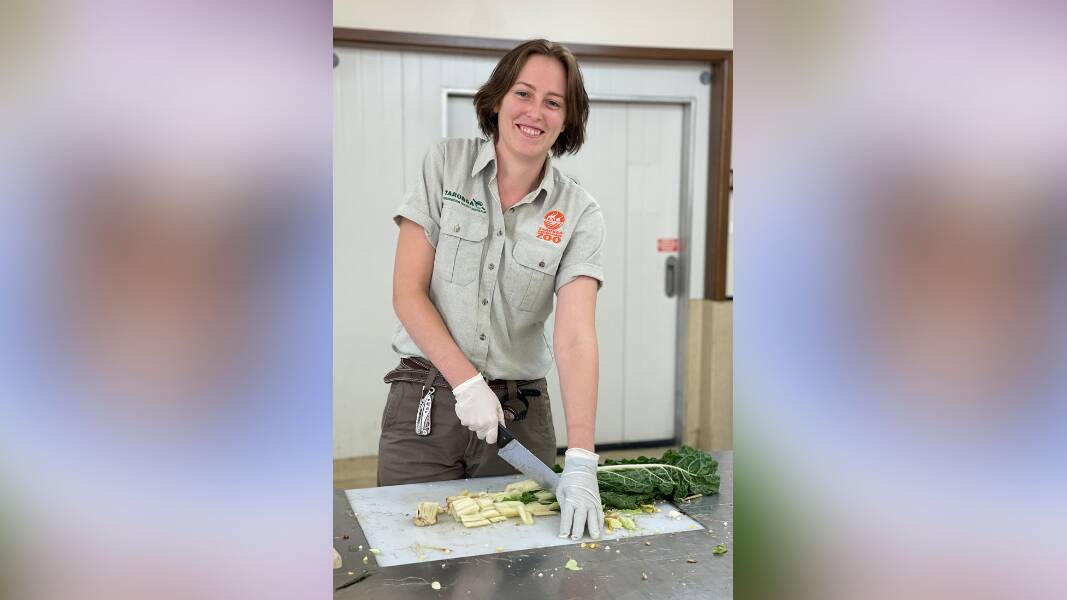 Preparing food for all the animals at Taronga Western Plains is a busy job, but nutrition officer and keeper Graces Jones is up to the task. Picture supplied