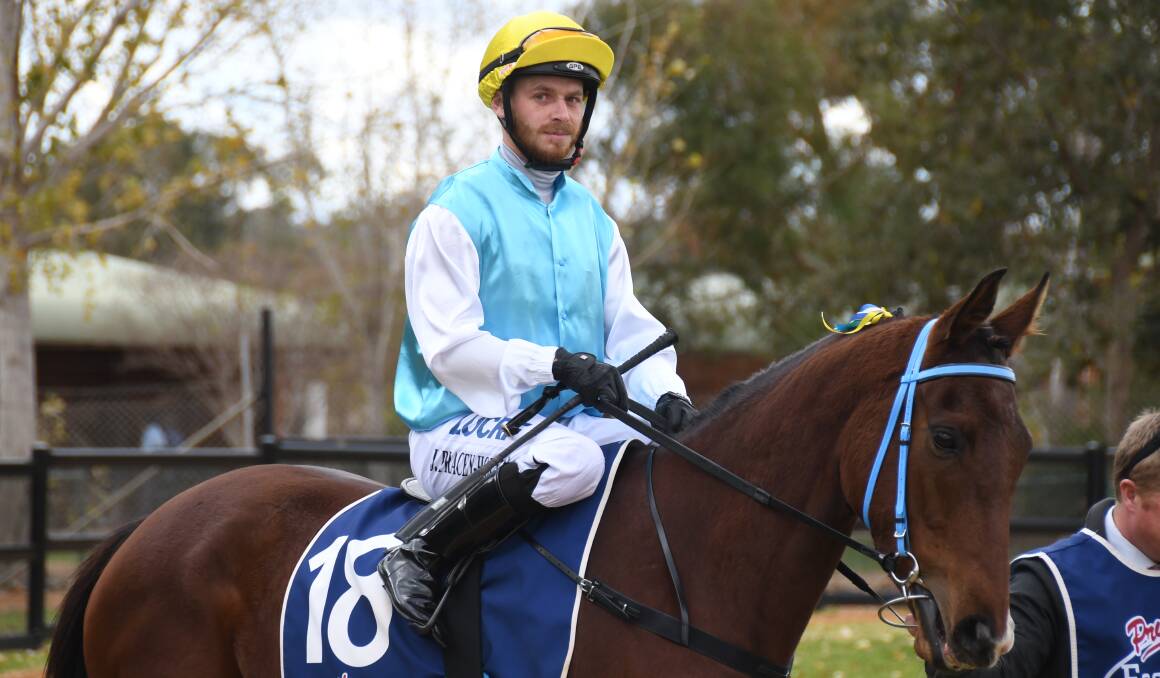 ONE LAST TIME: The battling Alexandra Demure will have her 14th, and potentially last, start for Mudgee trainer Cameron Crockett at Dubbo Turf Club on Friday. Photo: BELINDA SOOLE