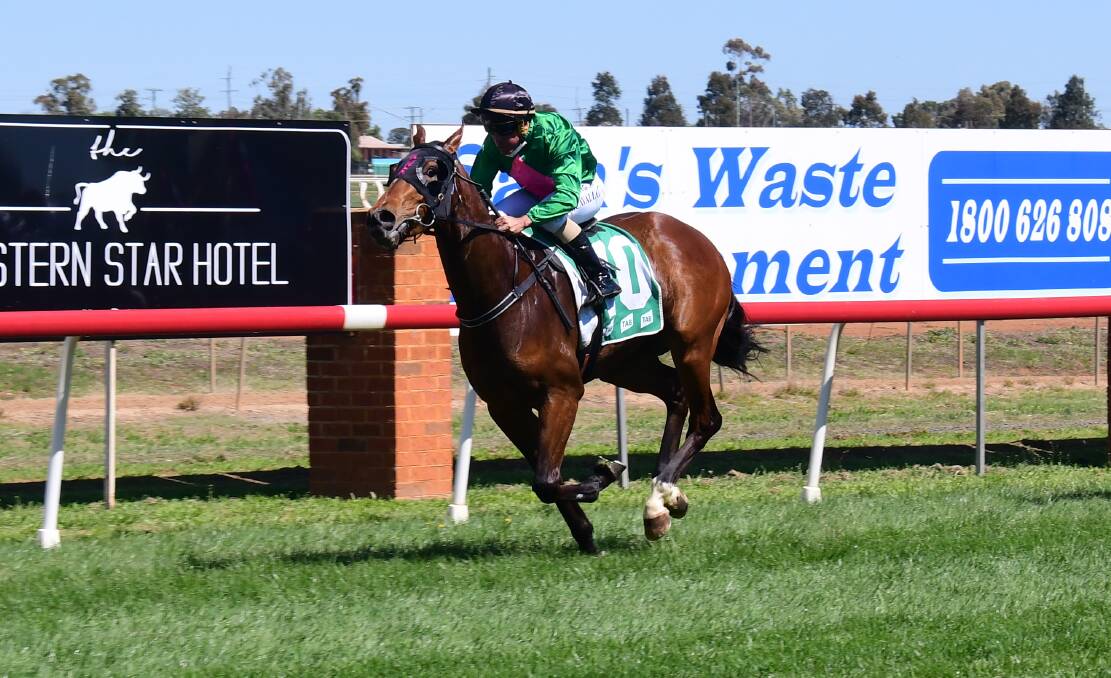 Gallery: DEMOCRACY MANIFEST WINS AT DUBBO. Photos: AMY McINTYRE