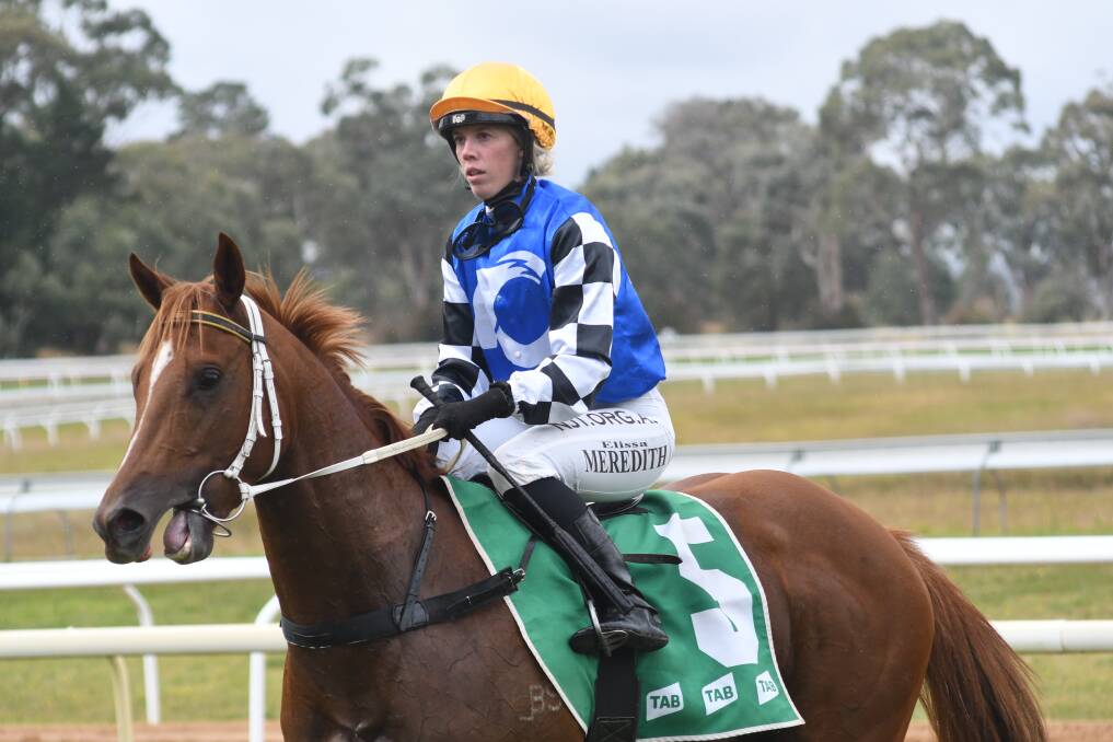 READY TO GO: Elissa Meredith and Raging Rush will combine again on Friday in a $200,000 event at Scone. Picture: Jude Keogh