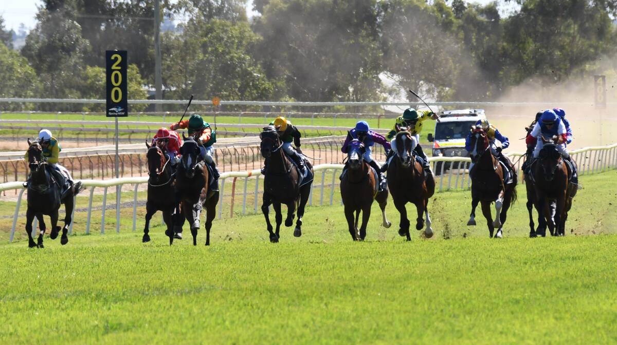 MISSED OUT: A Martin Placepick (right) runs home behind Westlink (left, green and orange silks) during last month's heat at Dubbo. Photo: AMY McINTYRE