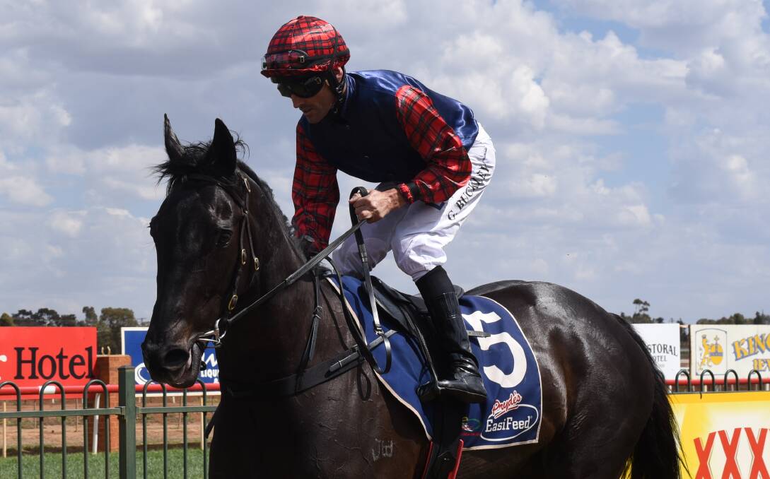 GOING AGAIN: After winning at Dubbo Turf Club last start, Taking Liberties has been nominated for Saturday's big Derby Day meeting. Photo: BELINDA SOOLE