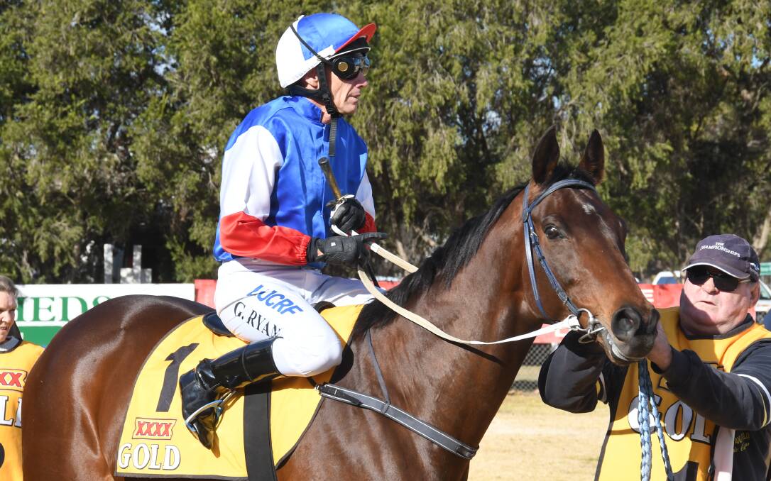 CONTENDER: Greg Ryan rode A Magic Zariz in the gelding's last start but he will be racing against Cecil Hodgson's hope in a competitive Cattleman's Handicap at Warren on Tuesday. Photo: NICK GUTHRIE