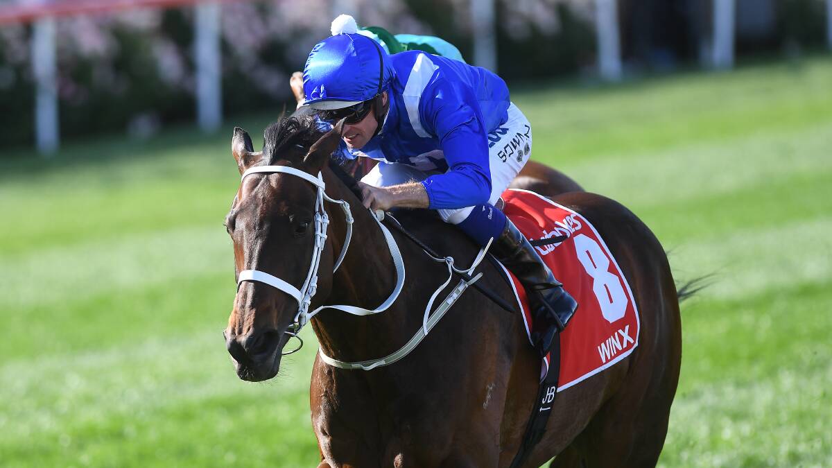 ALMOST THERE: Hugh Bowman and Winx, pictured winning last year's Cox Plate, have enjoyed a 'perfect' build-up to this year's feature. Photo: AAP/JULIAN SMITH