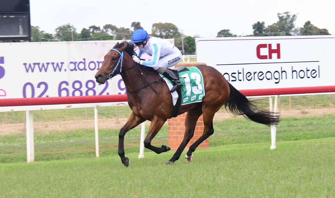 Gallery: ONE PENNY WINS AT DUBBO FOR CAMERON CROCKETT. Pictures: Amy McIntyre