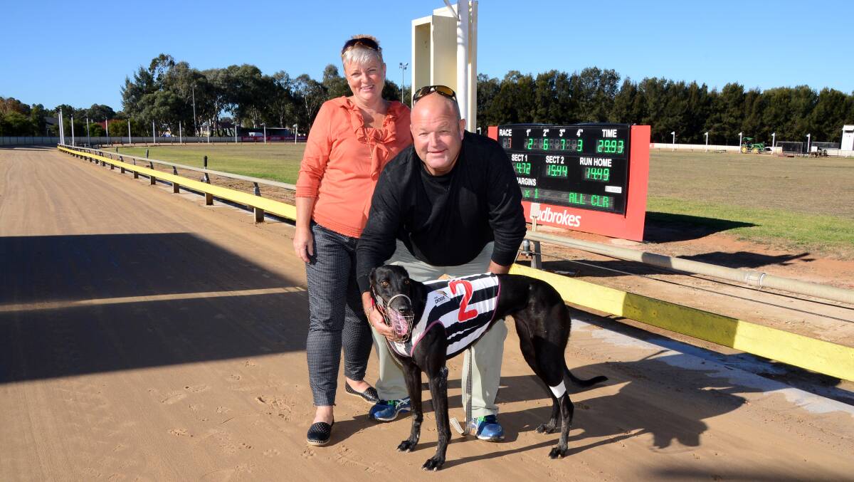 CONTENDER: Shayne Stiff and Charmaine Roberts will have high hopes for Lexie Keeping, pictured after a win at Dubbo, at Wentworth Park. Photo: BELINDA SOOLE