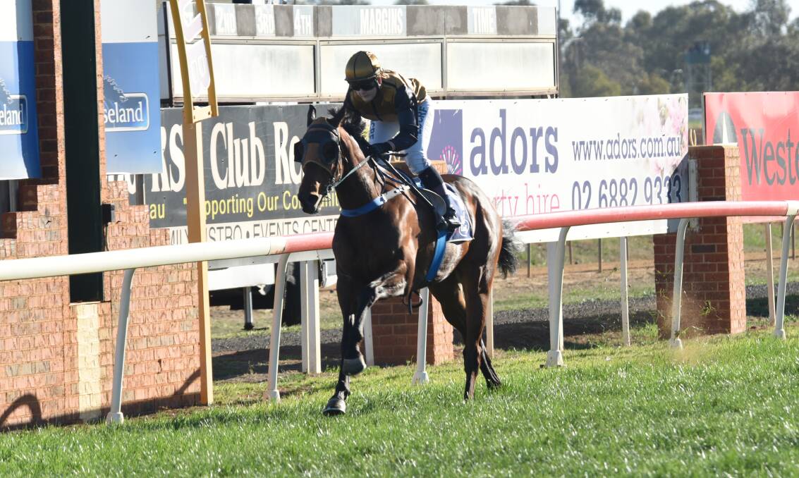 GO AGAIN: Austin will be in action at Forbes on Saturday for Nyngan trainer Rodney Robb. Photo: AMY McINTYRE