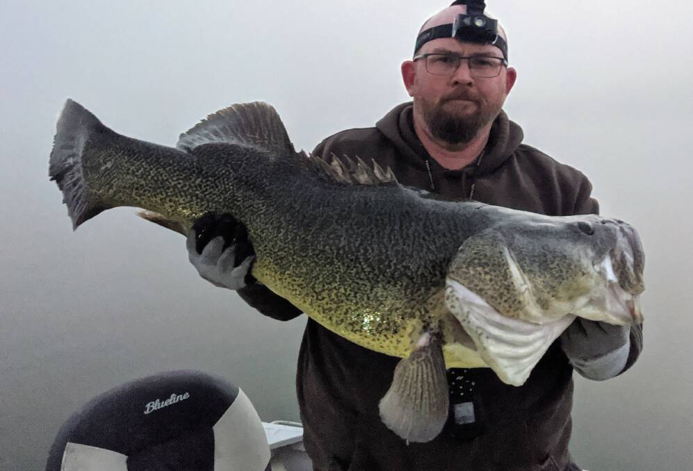 GOT IT: Lincoln McBroom caught this 95cm Murray Cod on misty Lake Windamere with the first cast of the day. Photo: CONTRIBUTED