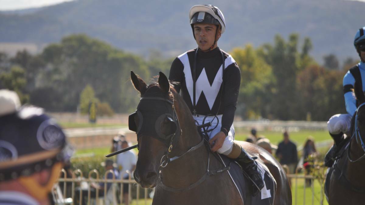 BACK AGAIN: Noel's Gift, pictured at Mudgee previously will Ash Morgan in the saddle, is set to contest this weekend's XXXX Cup. Photo: NICK McGRATH