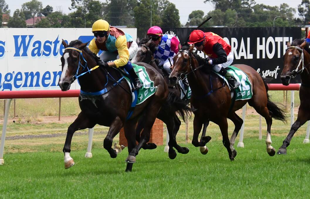 BACK: Bean Hot, pictured winning at Dubbo previously, races at Rosehill on Saturday. Picture: Nick Guthrie