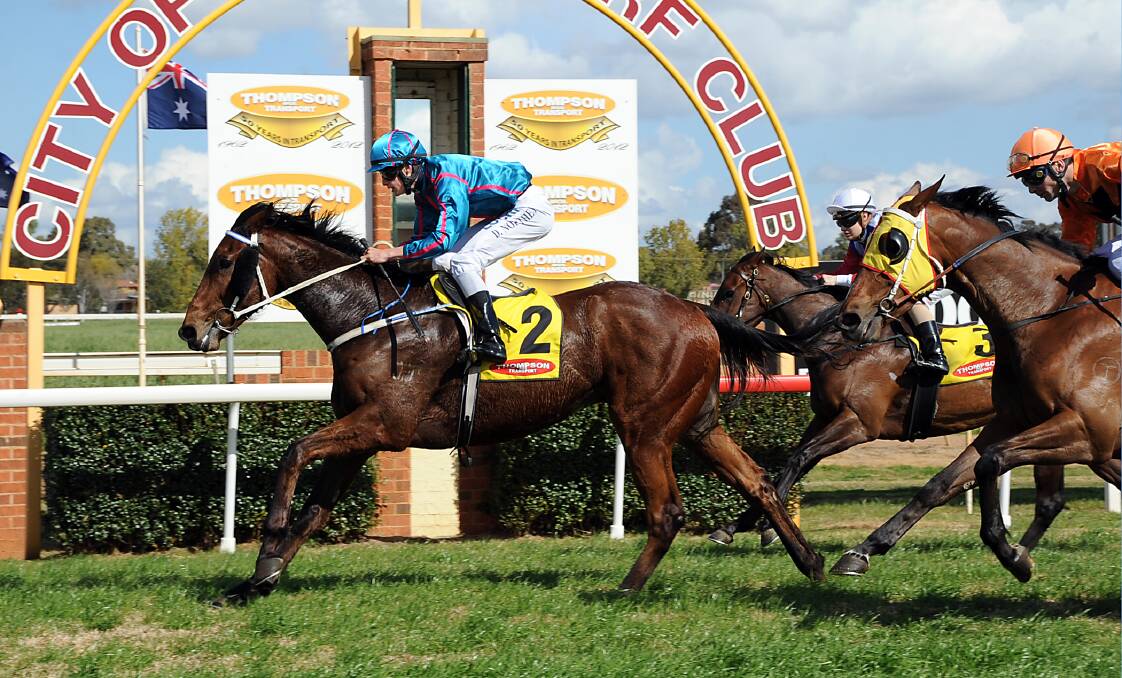 CONTENDER: Dubbo Gold Cup winner Any Blinkin' Day is one of four local hopes making the trip to contest the $50,000 Mudgee Cup. Photo: BELINDA SOOLE