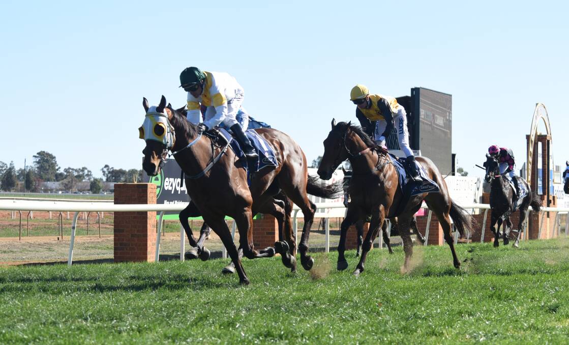 BACK AGAIN: Joey's Destiny, pictured winning the Flying Handicap at Dubbo in the past, returns to the track on Tuesday. Photo: AMY McINTYRE