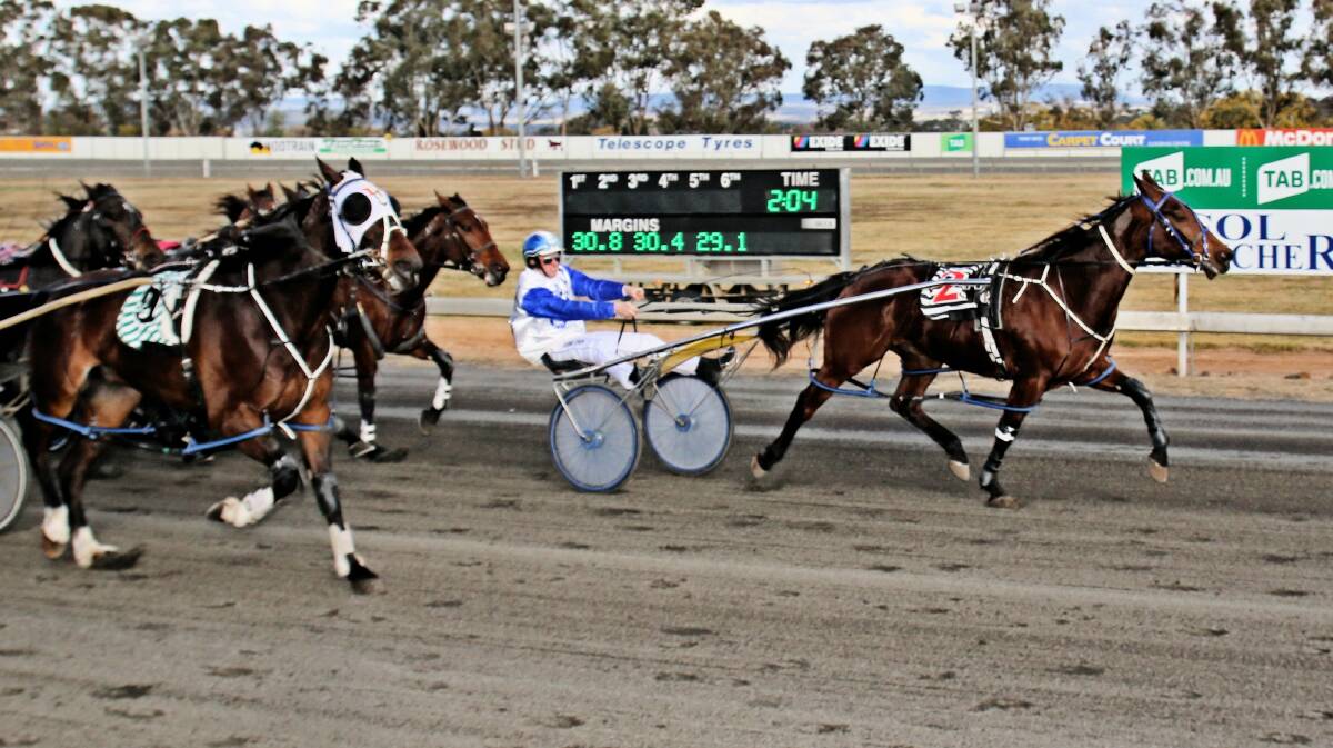 FORM: Tom Pay has won with Sunscreen in the past but opted not to drive the gelding on Sunday. Photo: COFFEE PHOTOGRAPHY