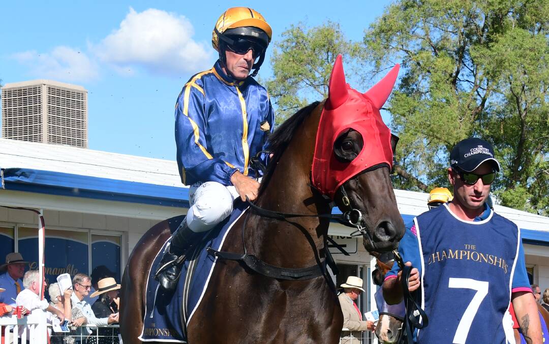THAT'S MORE LIKE IT: Anthony Cavallo and Toulon Brook, pictured prior to last start at Coonamble, returned to winning ways on Thursday. Photo: AMY McINTYRE