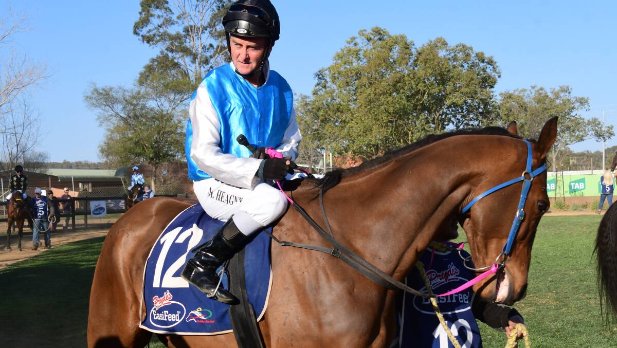 BACK IN ACTION: Zagaya is one of a number of horses set to race for Bryan Dixon in a busy three days for Gilgandra trainer. Photo: AMY McINTYRE