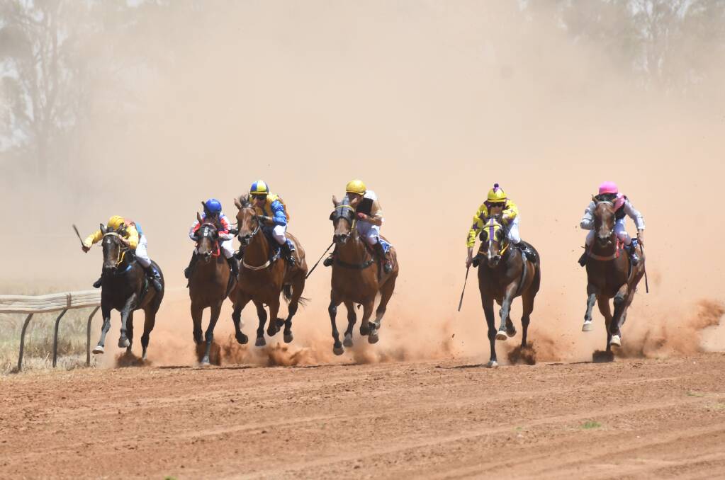 BATTLE: Many horses, owners, trainers, and race tracks have suffered during an incredibly hot and dry period in the west. Photo: AMY McINTYRE