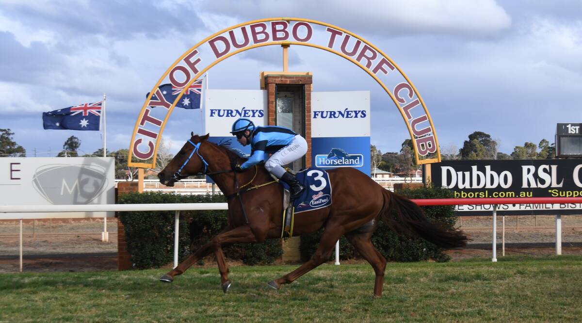 A listed race awaits Sharpe Hussler after Friday's win at Dubbo. Photos: BELINDA SOOLE