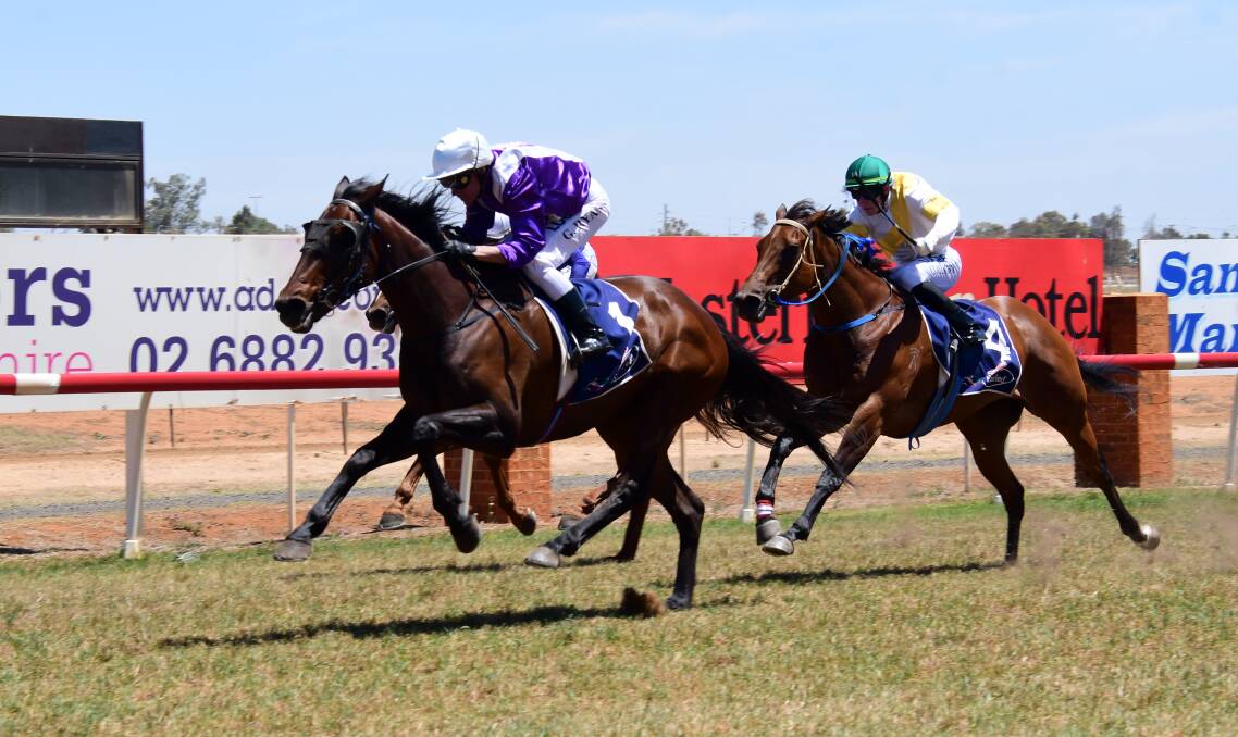 Gallery: Caszar took out the first event at Dubbo on Sunday. Photos: BELINDA SOOLE