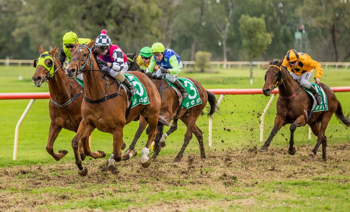 WORTH THE WORK: Rachael King guides Letchworth to victory at Gilgandra on Tuesday. Photo: JANIAN MCMILLAN (www.racingphotography.com.au)