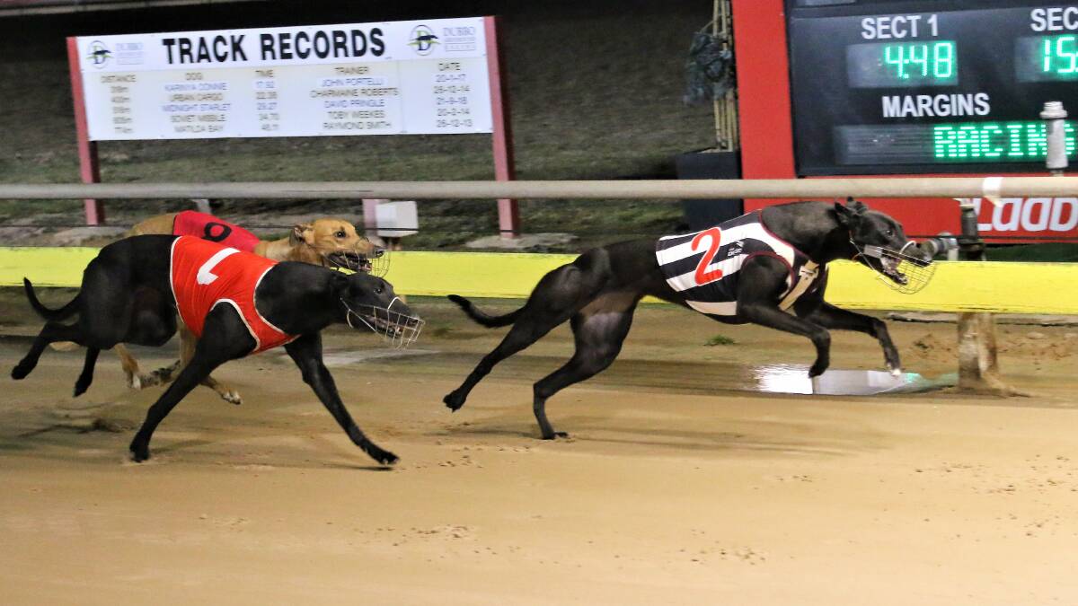 IN THE CLEAR: Annabel Keeping will be a genuine contender on Saturday night after blitzing her heat. Photo: COFFEE PHOTOGRAPHY