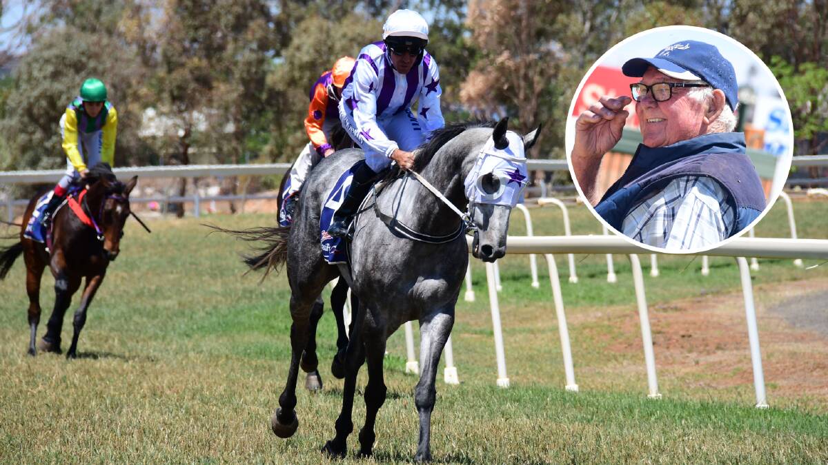 STEPPING UP: Zouzoom will now race for Kieren Hazelton after he took over the Gilgandra stables of (insert) Bruce Parker. Photo: AMY McINTYRE