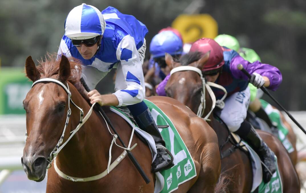 ONE TO WATCH: Dunedoo product Hugh Bowman guided Noble Boy to a convincing win at Warwick Farm on Saturday. Photo: AAP/SIMON BULLARD