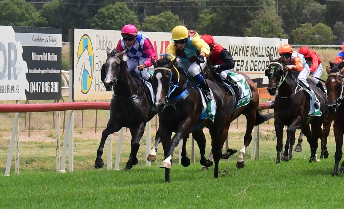 AT IT AGAIN: Clayton Gallagher and Bean Hot won at Dubbo last month and delivered again on Tuesday. Photo: NICK GUTHRIE