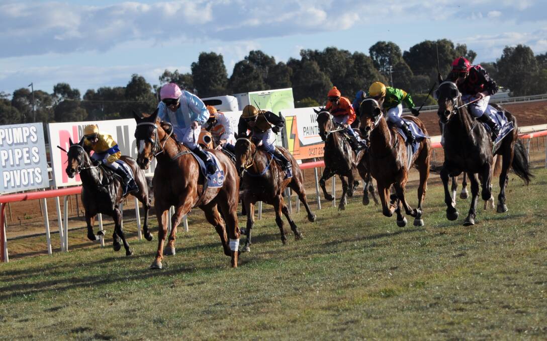 SILVER LINING: Check The Tickets took out last year's Silver Goblet at Dubbo Turf Club. Photo: BEN WALKER