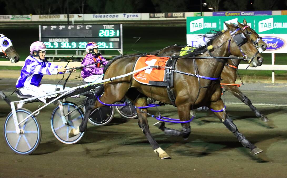 CONTENDER: Shesa Pocketrocket will be back in action at Dubbo Paceway on Friday night. Picture: Coffee Photography
