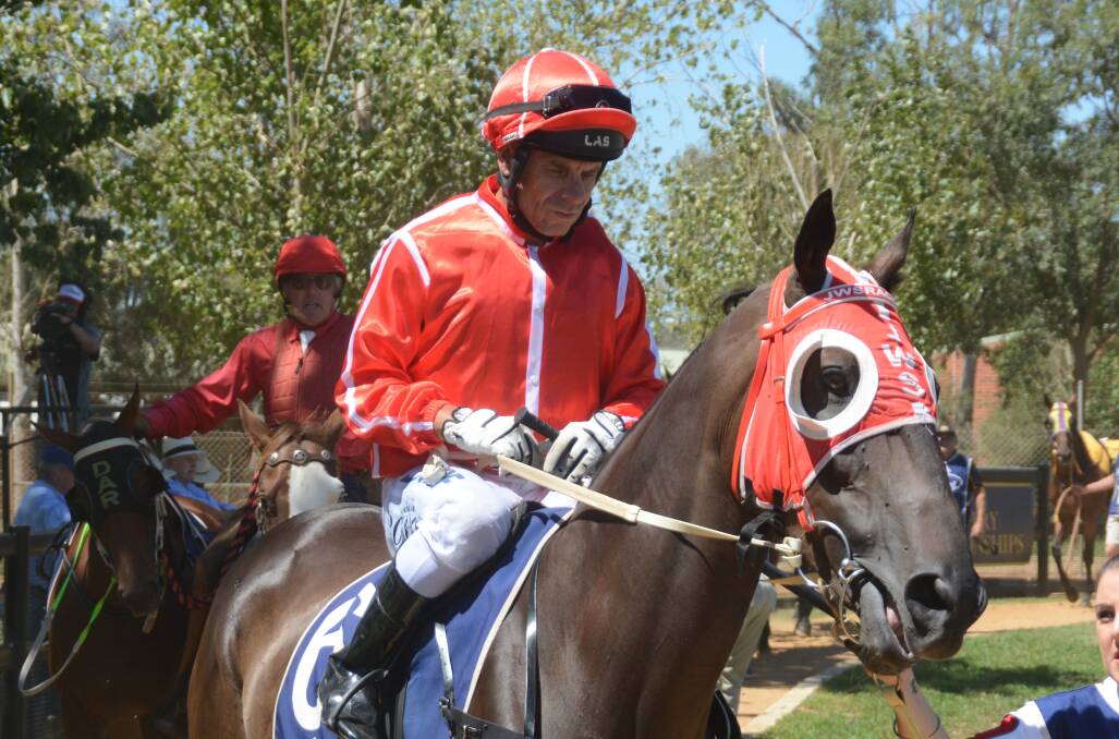 MILESTONE MEETING: The Justin Stanley-trained Wollartant will contest the Bedgerabong Picnic Cup on Saturday. Photo: NICK GUTHRIE