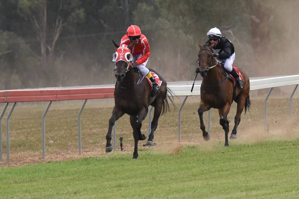 ANOTHER ONE: Wollartant, pictured winning the Bedgerabong Picnic Cup earlier this month, scored another feature victory on Saturday.