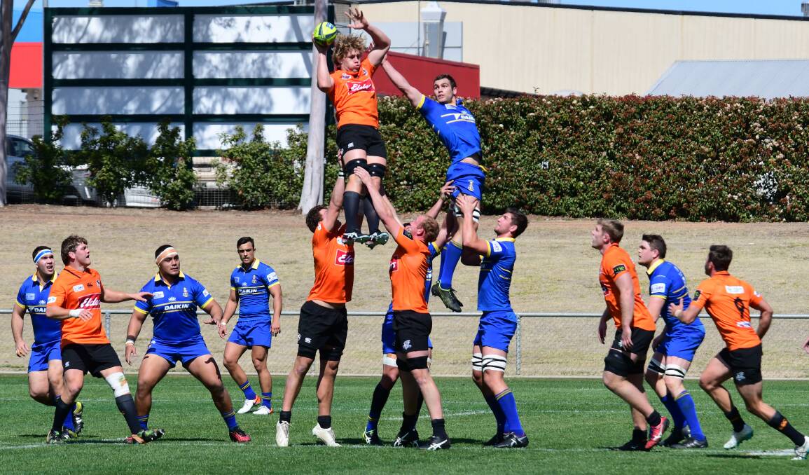 UP IN THE AIR: Ned Hanigan grabs control of the ball during last year's National Rugby Championships fixture at Apex Oval. Photo: BELINDA SOOLE