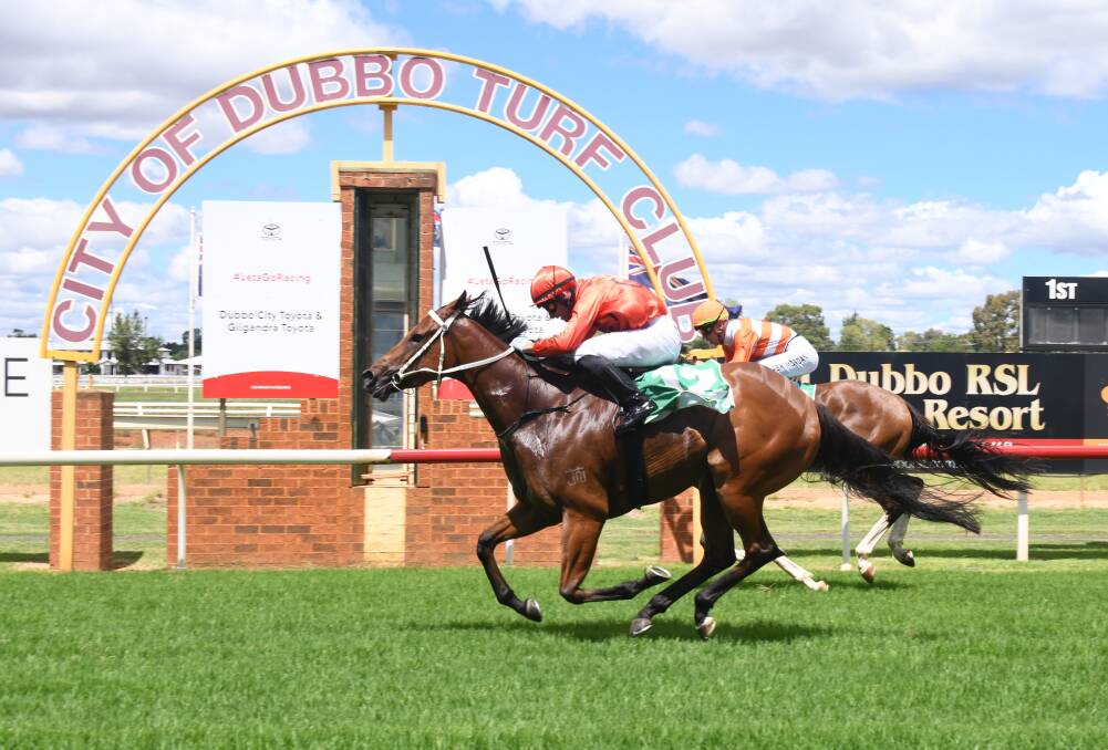GOT IT: Matthew Palmer and Shooting Zaa toughed it out late to win at Dubbo Turf Club on Friday. Picture: Amy McIntyre