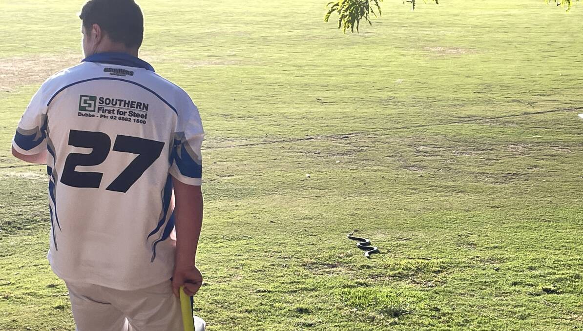 A snake got itself close to cricketers during a match at the Lady Cutler fields on Saturday.