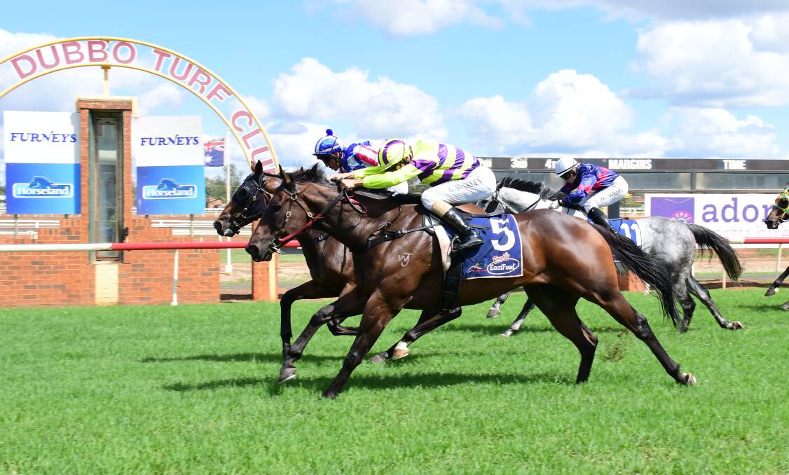 GOING AHEAD: Racing at Dubbo and around the region will continue for now with strict measures in place. Photo: AMY McINTYRE