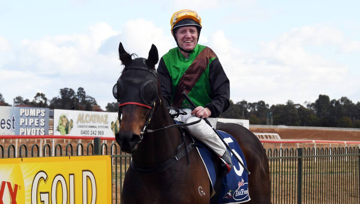 PILOT: Ken Dunbar will again team up with California Fox (pictured) on Friday, while he will also ride Alaskan Aura for Dubbo trainer Allan Gibson. Photo: NICK GUTHRIE