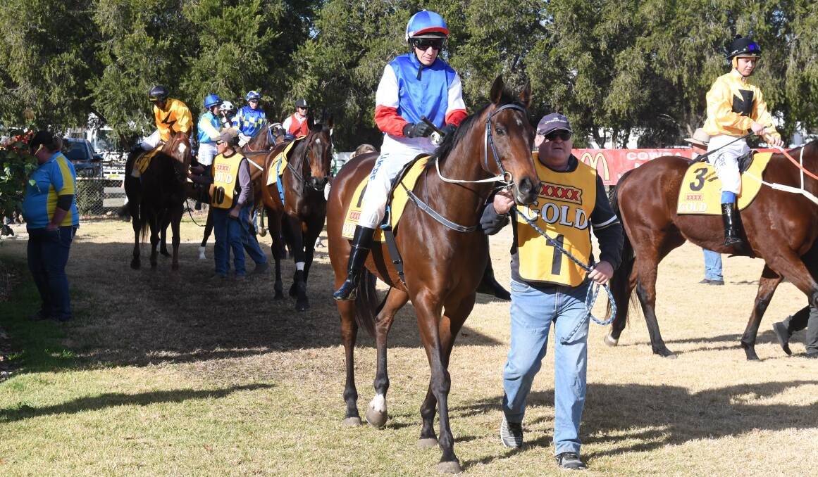 ONE OF MANY: The highly-rated A Magic Zariz, trained at Coonamble by Cecil Hodgson, was one of 30 nominations received for Sunday's $60,000 Gold Cup at Dubbo Turf Club. Photo: NICK GUTHRIE