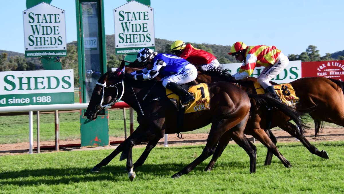 GOT IT: Goldstream held off Potent Force and Vega to win at Wellington on Sunday. Photo: AMY McINTYRE